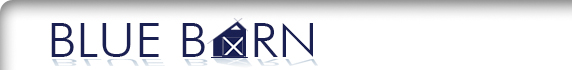 freelance website designer Blue Barn Graphics